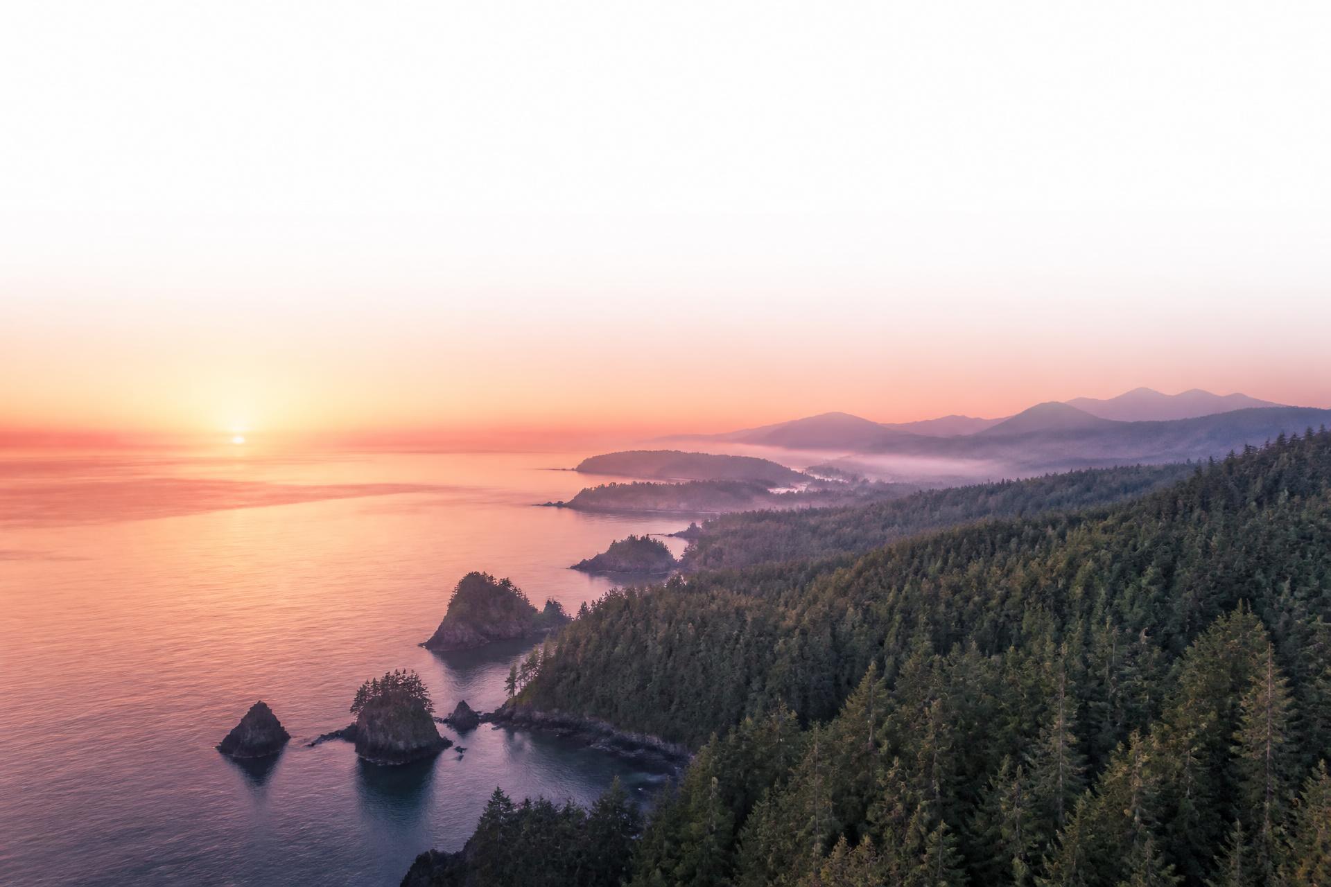 Pacific Northwest coastline — Sitka spruce forest meeting the ocean